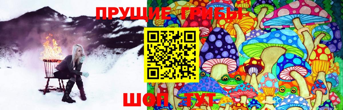 Воткинск  Галлюциногенные грибы мухоморы  Вход с VPN 